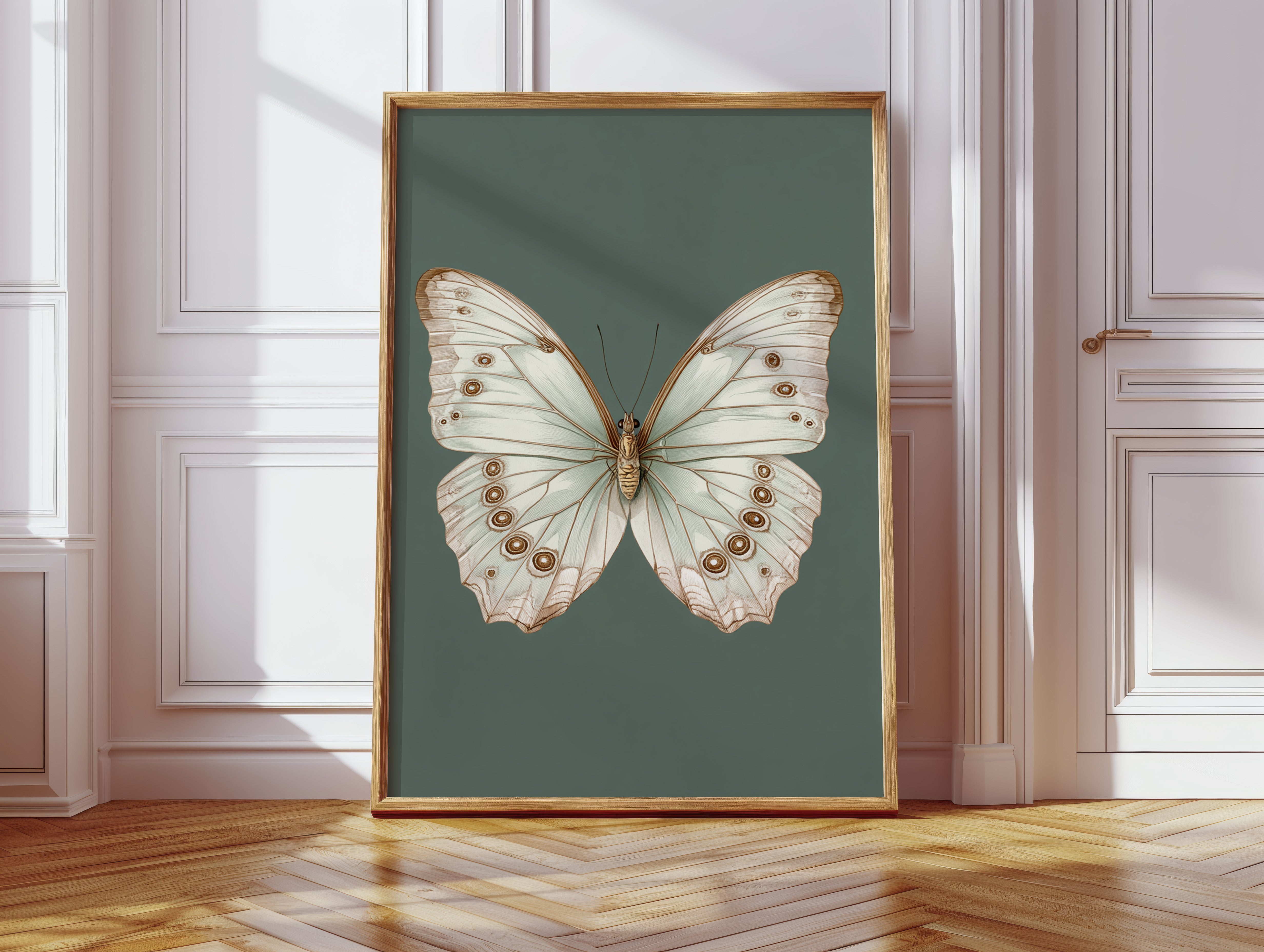 A Dance of Delicate Wings