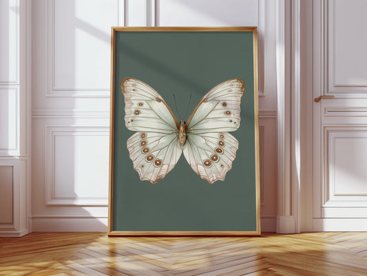 A Dance of Delicate Wings