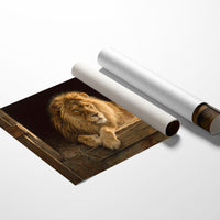 Noble Beast Rests In Golden Light