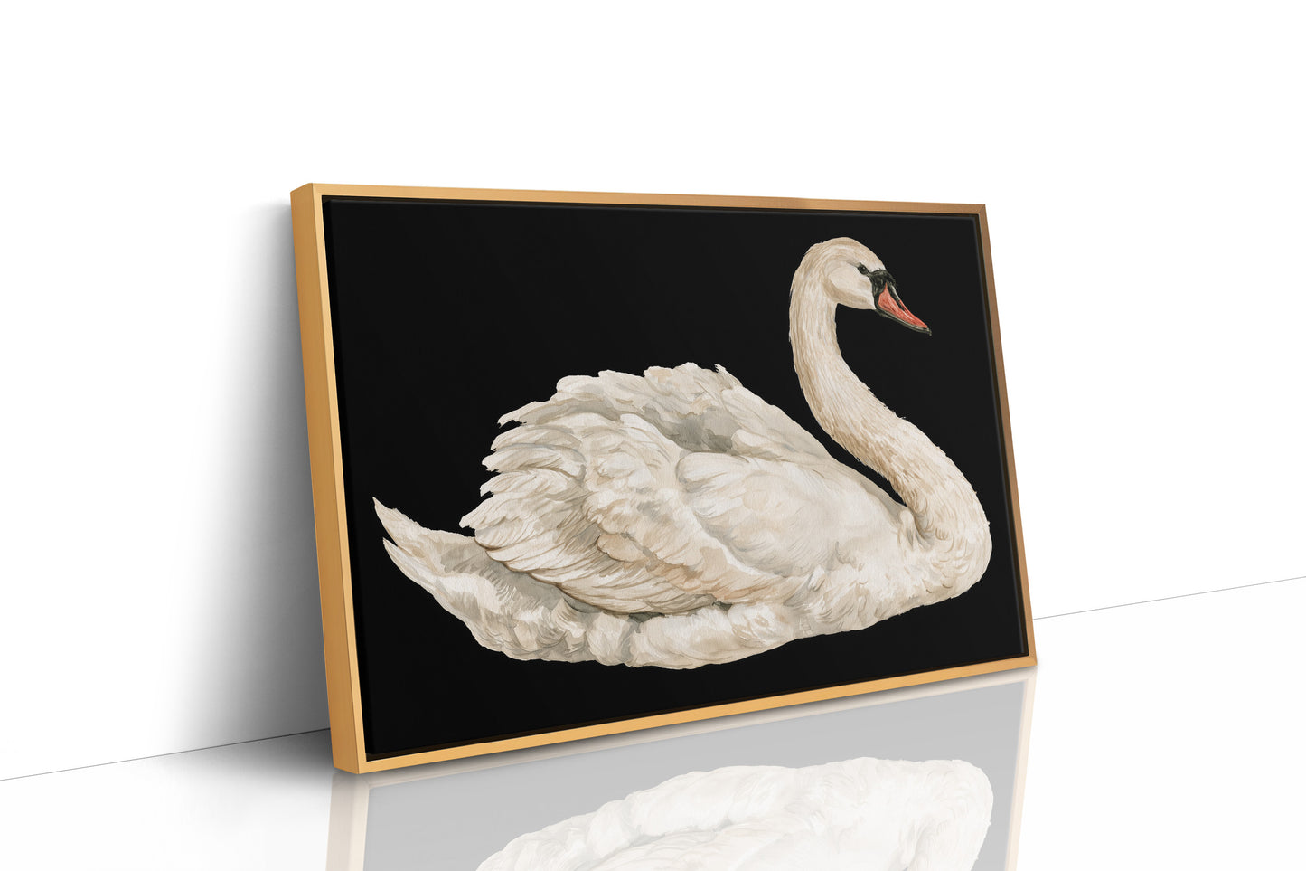 Swan, Study in White