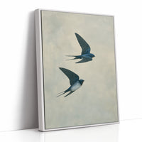 Wings Across Quiet Sky