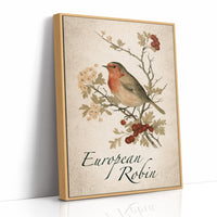 Robin the Hawthorn Blind