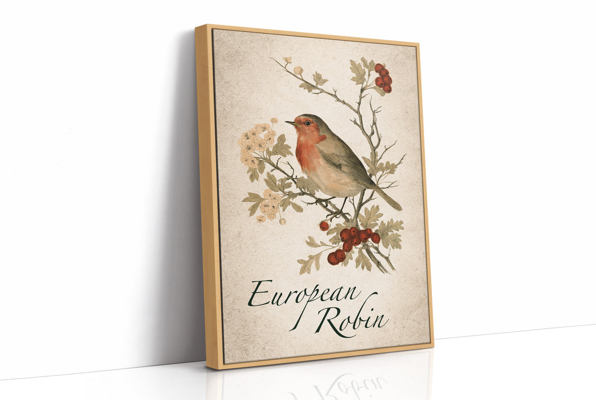Robin the Hawthorn Blind