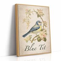 Blue-Blooded Among the Blossoms