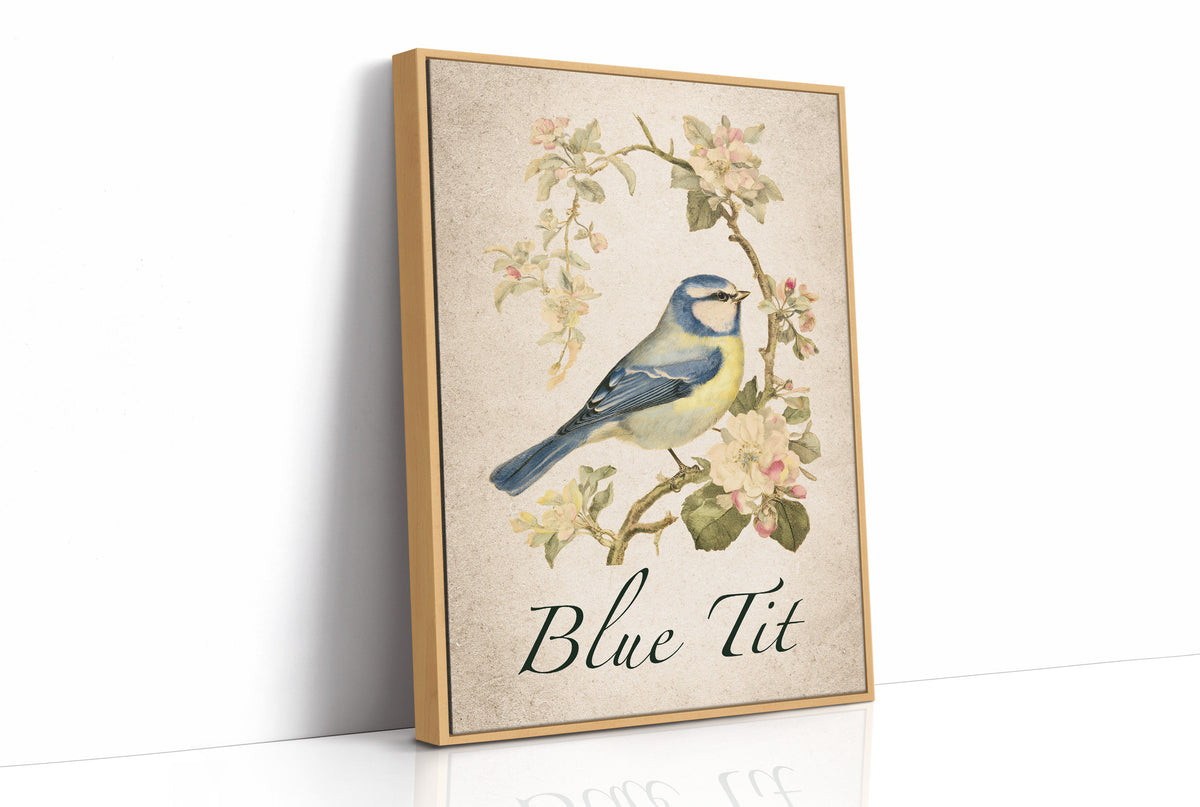 Blue-Blooded Among the Blossoms