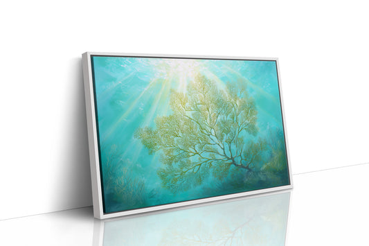 Sunbeams Illuminate Coral Branches