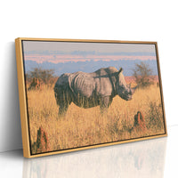 Rhino, Golden Grassland