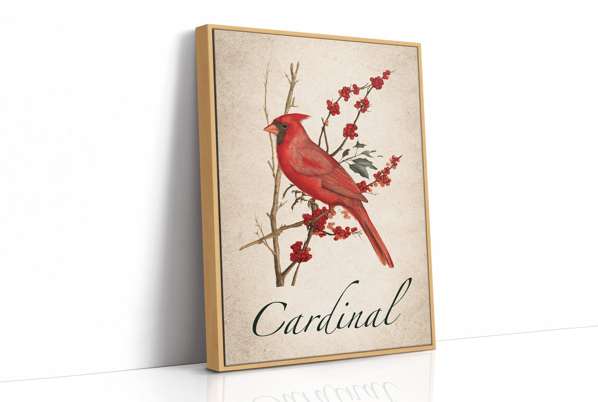 A Cardinal Rule of Winter
