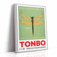 Tonbo – The Science of Dragonflies