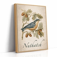 Totally Nuts About Acorns