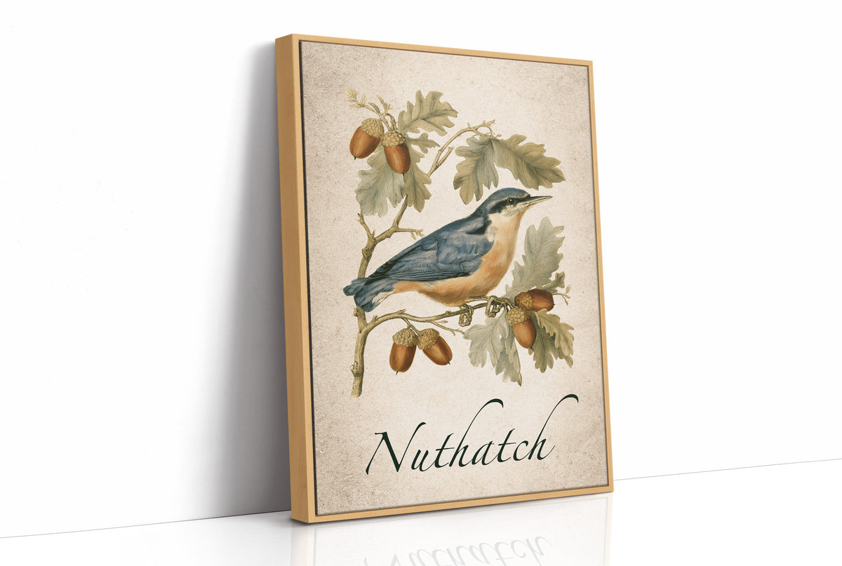 Totally Nuts About Acorns