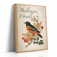 Trumpeting the Home Team Colors