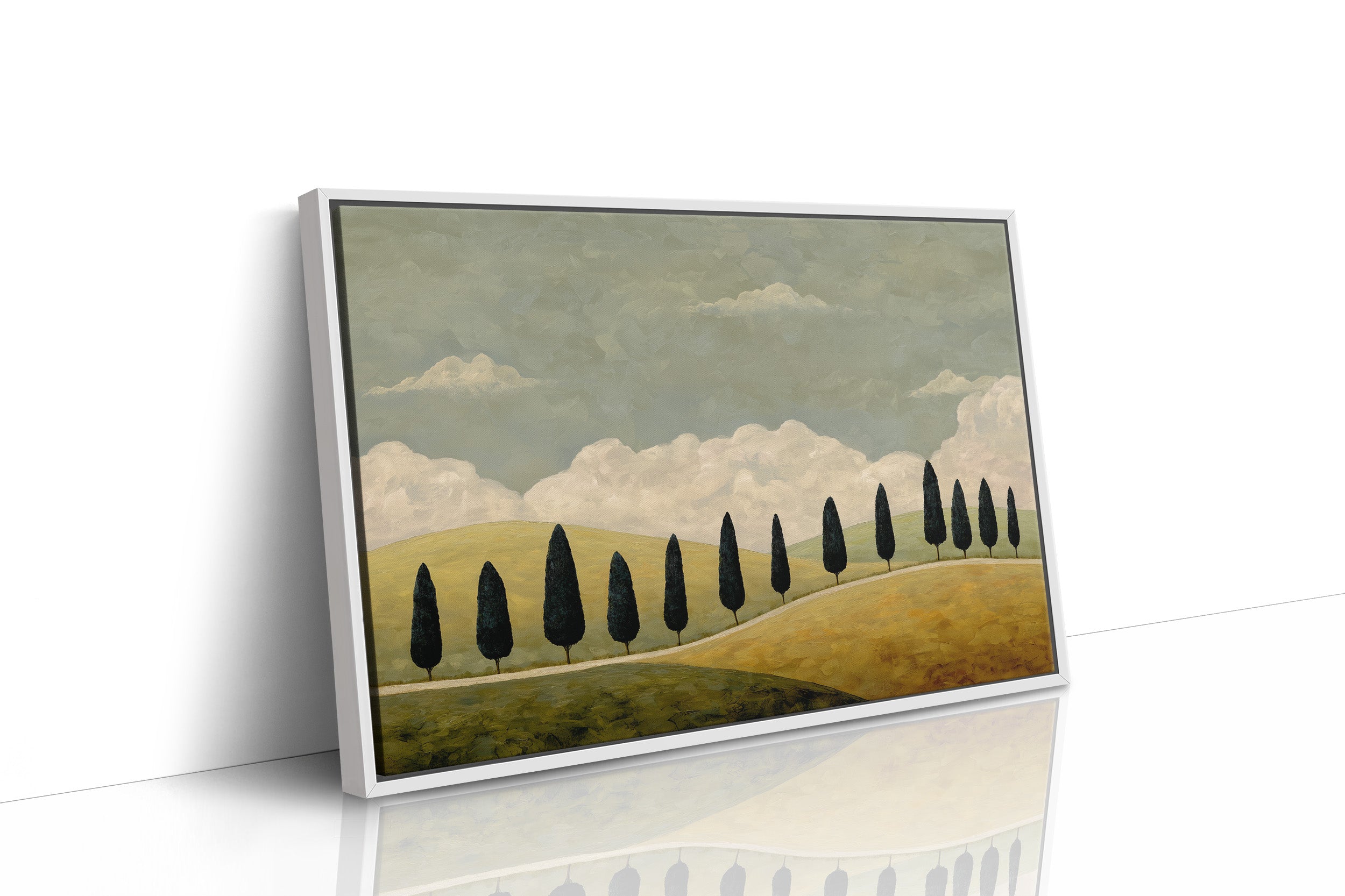 Cypress Line Across Quiet Hills