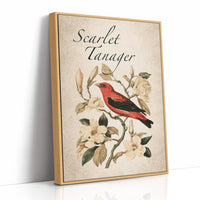 Scarlet Letter Among the Magnolias