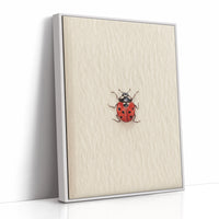 Tiny Ladybug on Paper