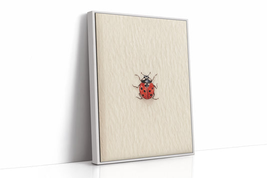Tiny Ladybug on Paper