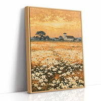 Daisy Fields at Golden Hour