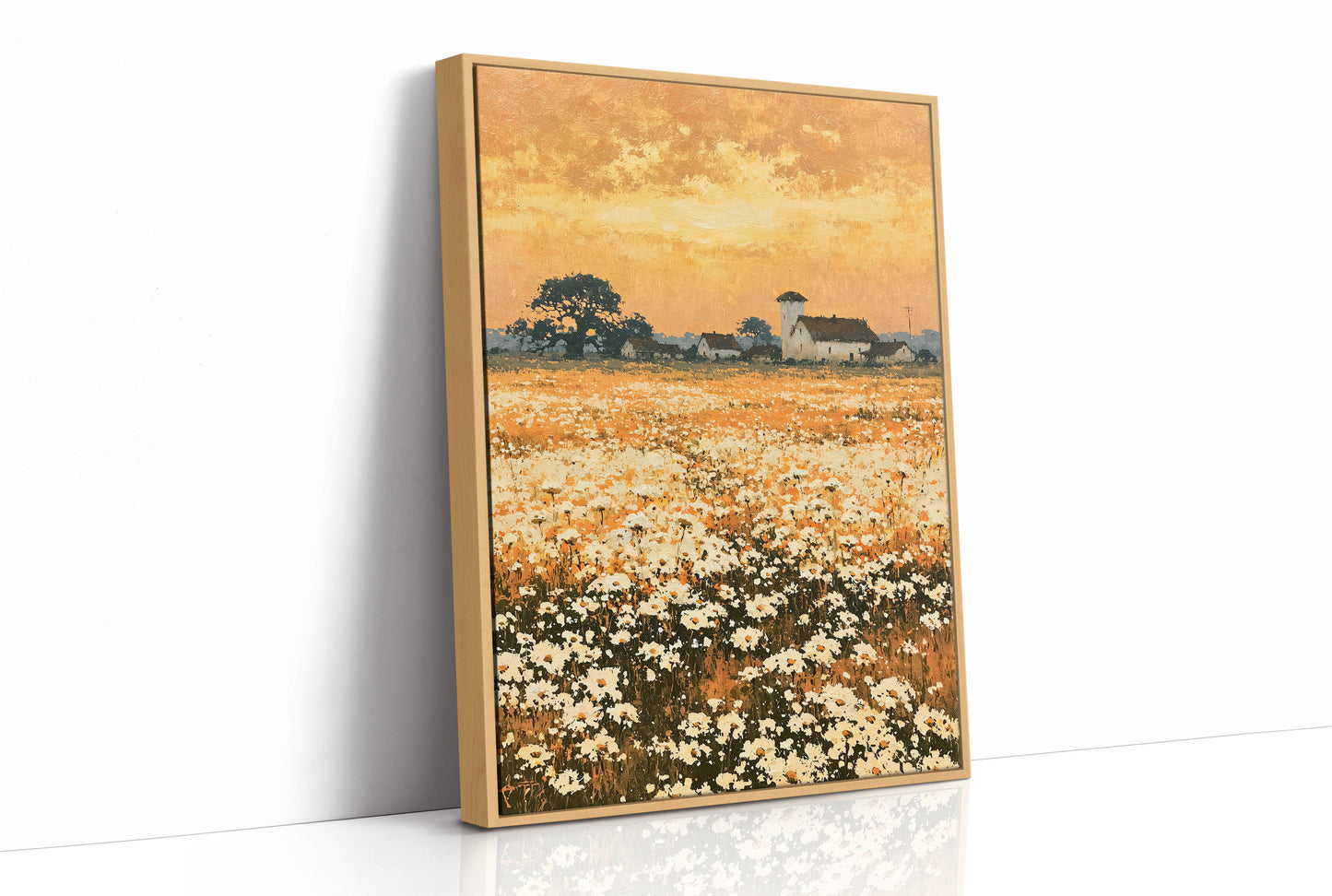 Daisy Fields at Golden Hour