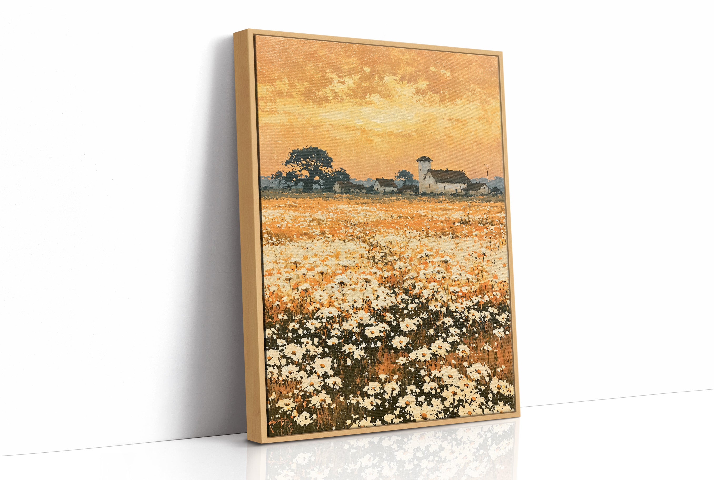 Daisy Fields at Golden Hour