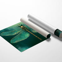 Emerald Jeweled Dragonfly
