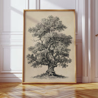 Wisdom Woven in Branches