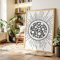 Summer Circles Shine Like Midday Stars