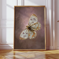 A Dance Upon Gentle Currents