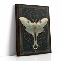 Luna Moth Under Golden Stars