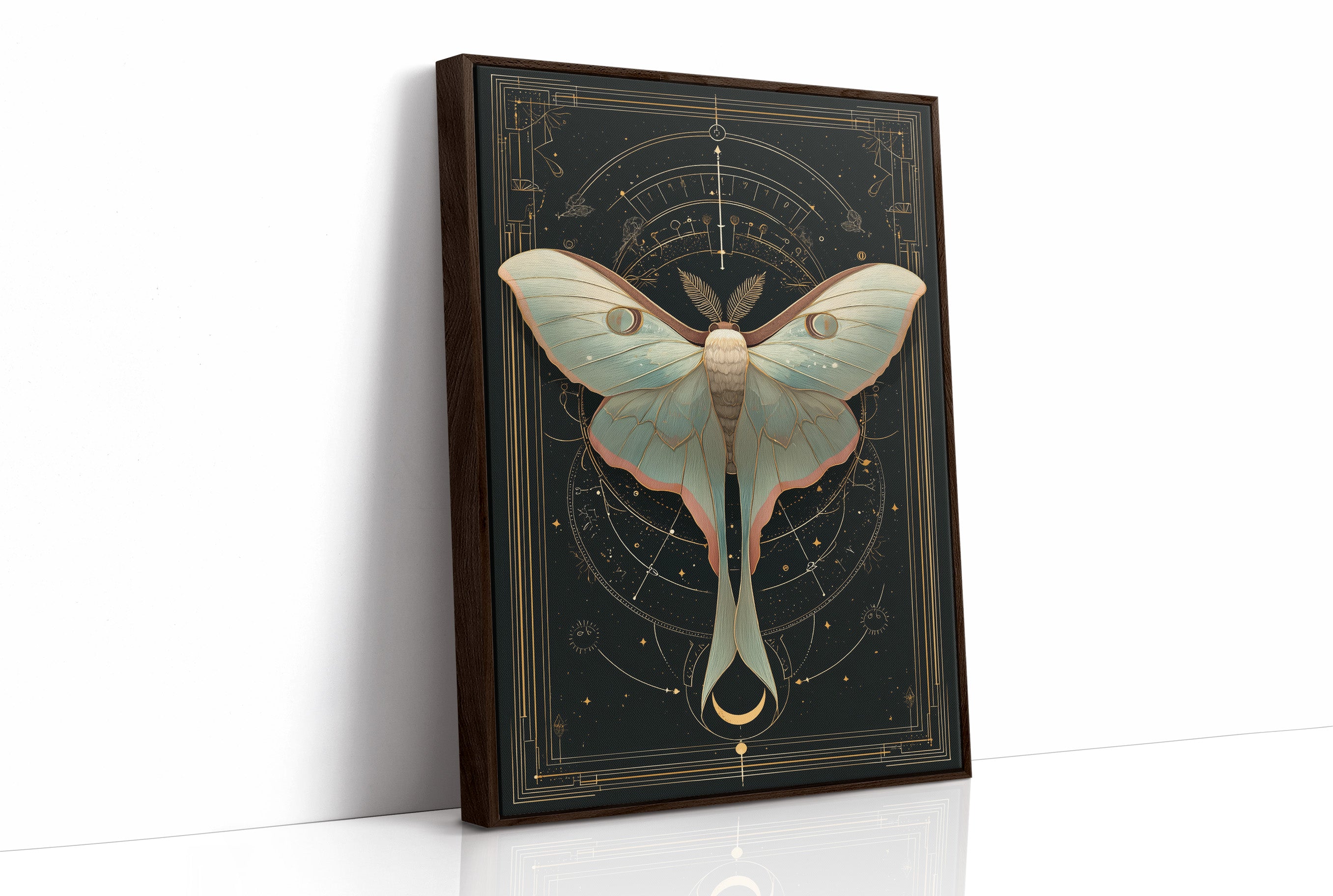Luna Moth Under Golden Stars