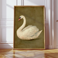 Elegance Stilled in Time