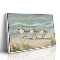 Sandpipers Dance Along Tidal Edge