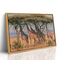 Giraffe Tower, Acacia Shade