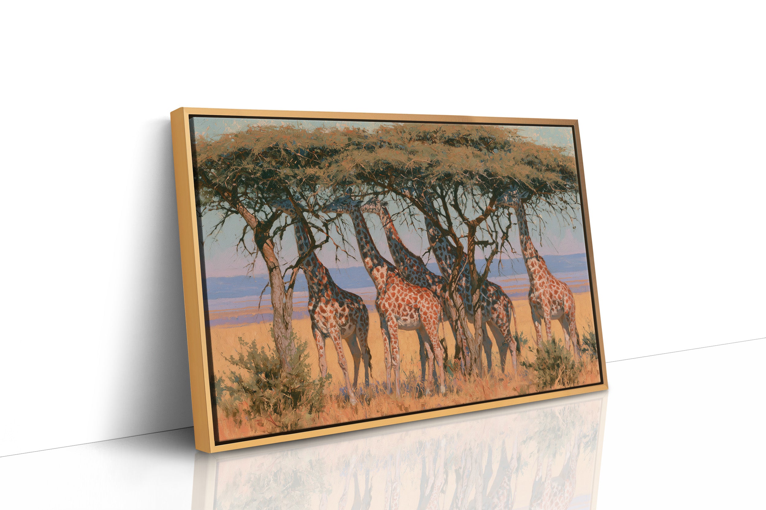 Giraffe Tower, Acacia Shade