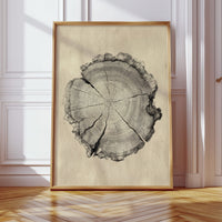 Chronicles Etched in Time