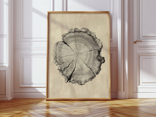 Chronicles Etched in Time