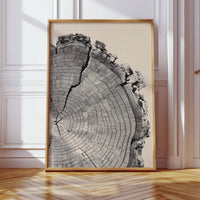Cross-Section of Time