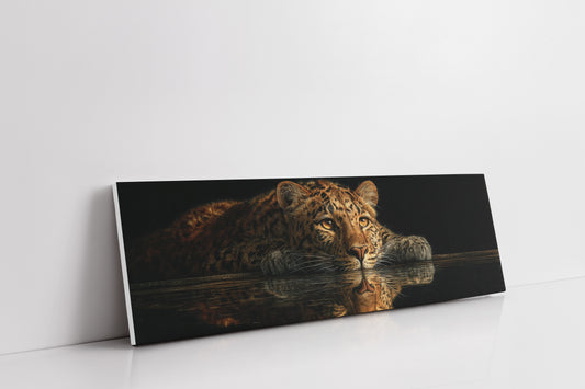 Resting Leopard Reflection