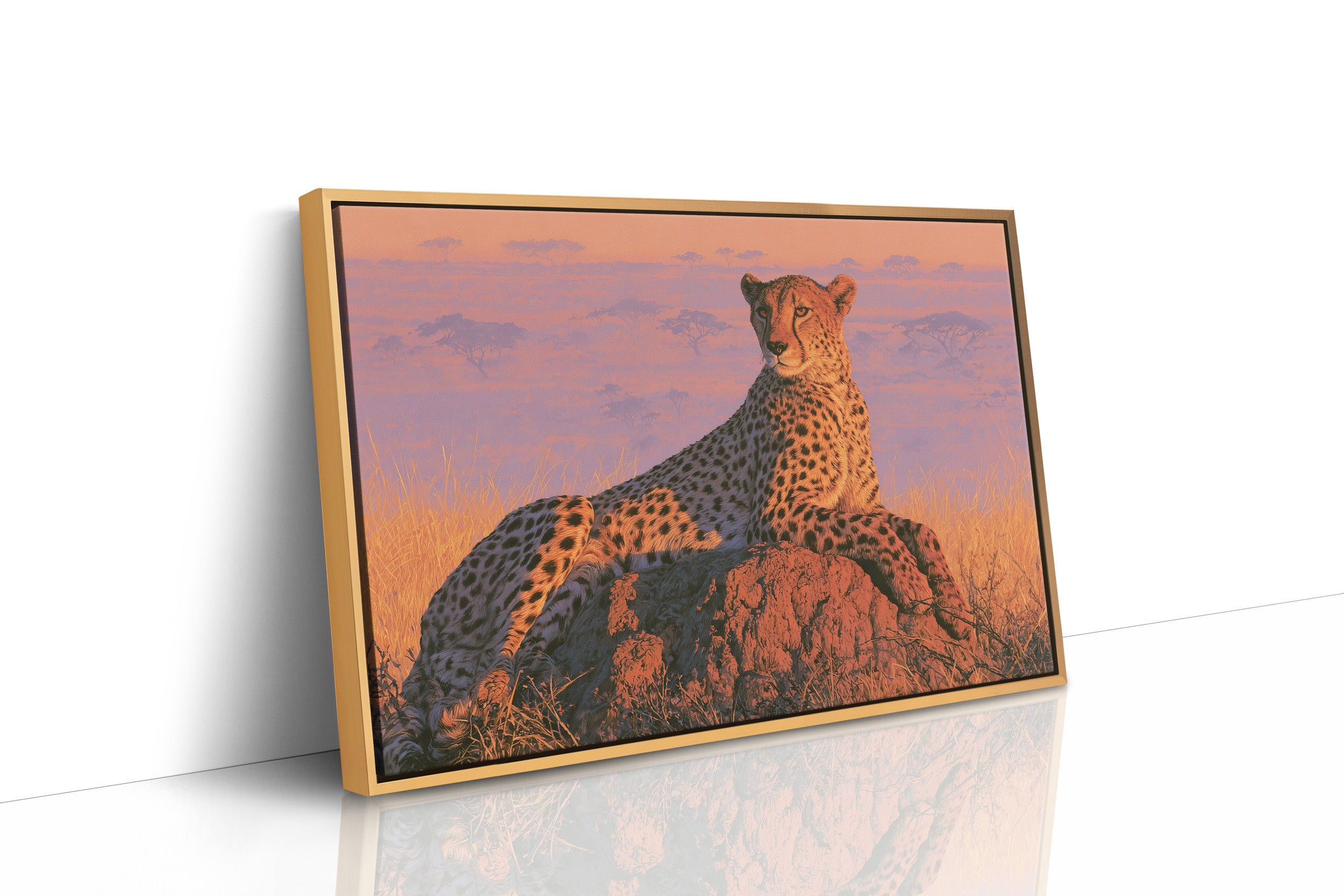 Cheetah, Termite Mound Perch