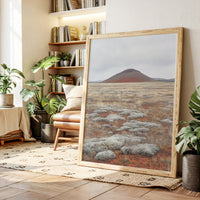 Red Mountain Meets Silver Sage