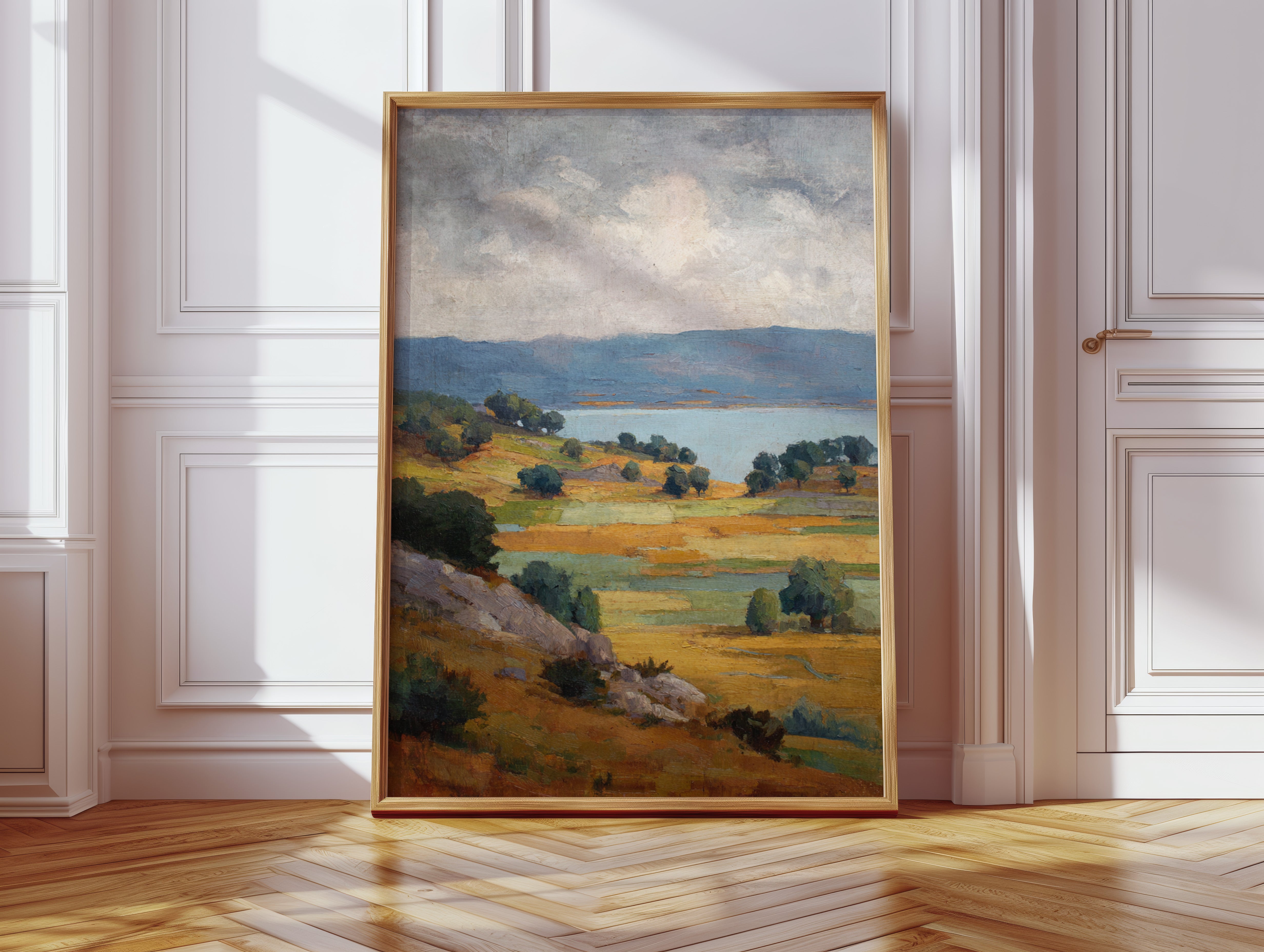 Fields Bathed in Golden Light