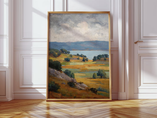 Fields Bathed in Golden Light