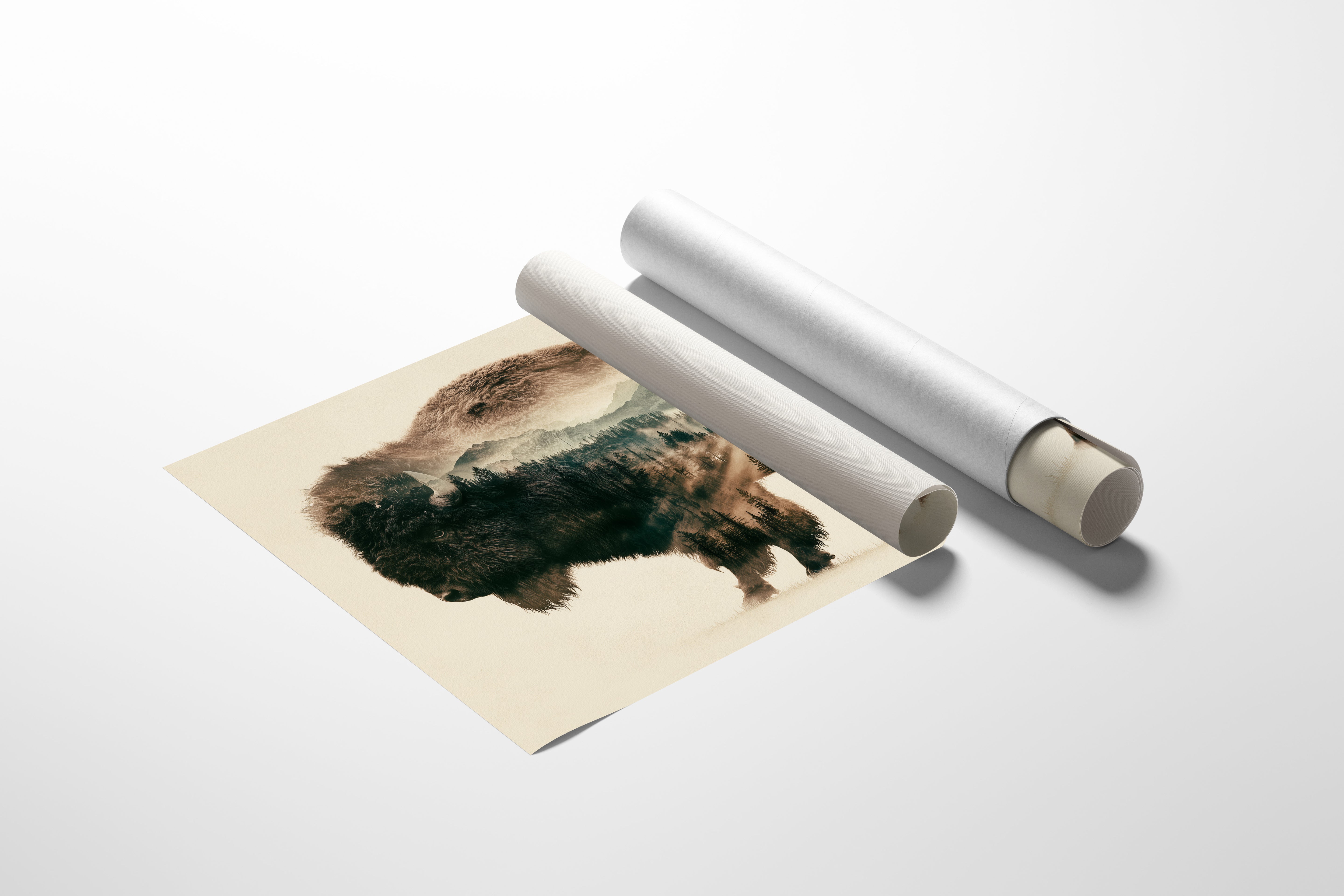 Where the Bison Roams
