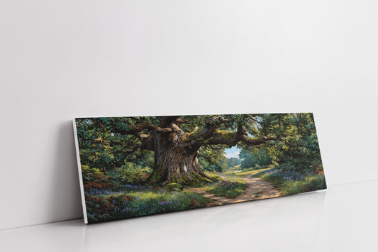 Ancient Oak Woodland Path