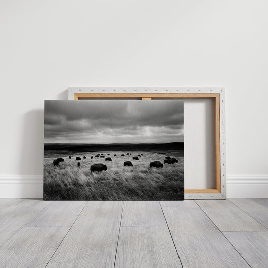 The Prairie Remembers Their Weight