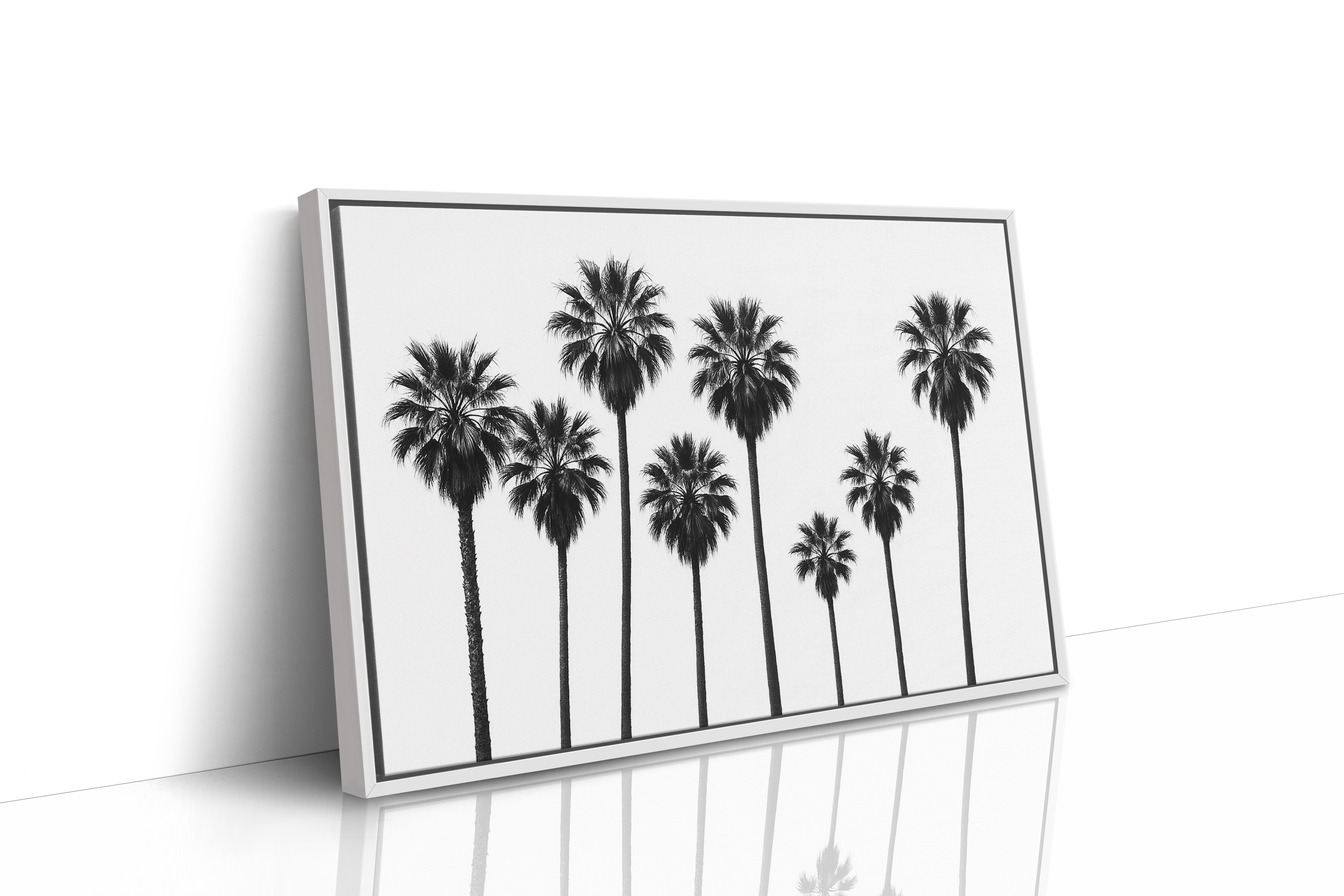 Seven Palms in Perfect Rhythm