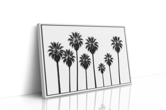 Seven Palms in Perfect Rhythm