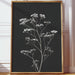 Silent Blooms Against Dark Skies