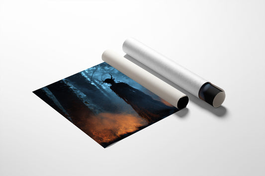 Ancient Forest Meets Modern Study