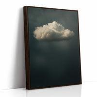 Lone Cloud in Quiet Storm