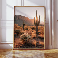 Sunlit Giants in Arid Embrace